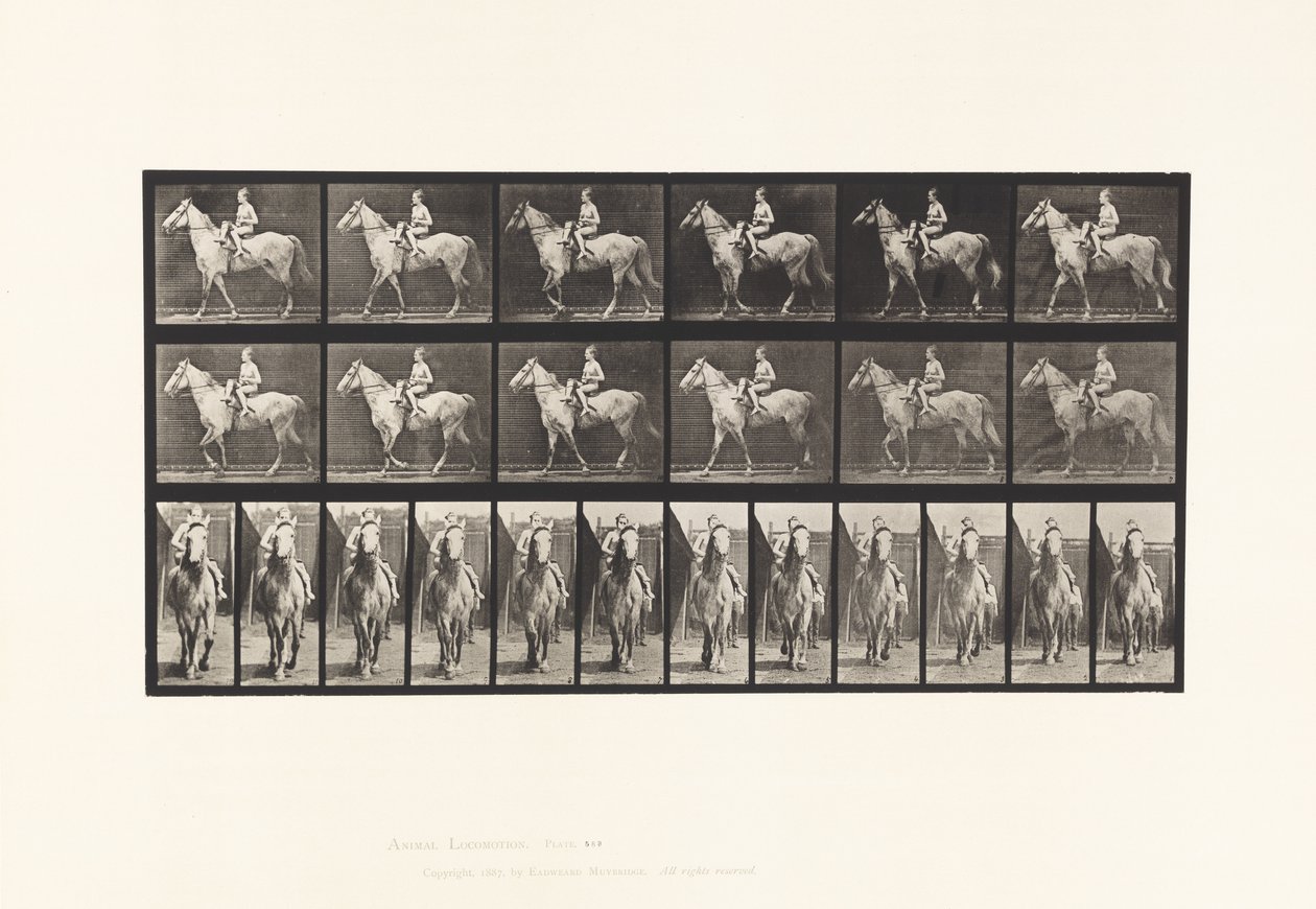 板583.Walking;鞍;女骑士;裸体; Gray Horse Tan，1885 作者 爱德沃德·迈布里奇