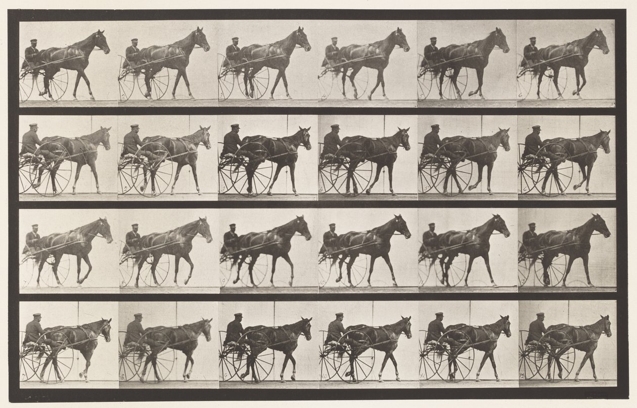 板587.Walking;生气; Sorrel Mare Nellie Rose，1885年 作者 爱德沃德·迈布里奇