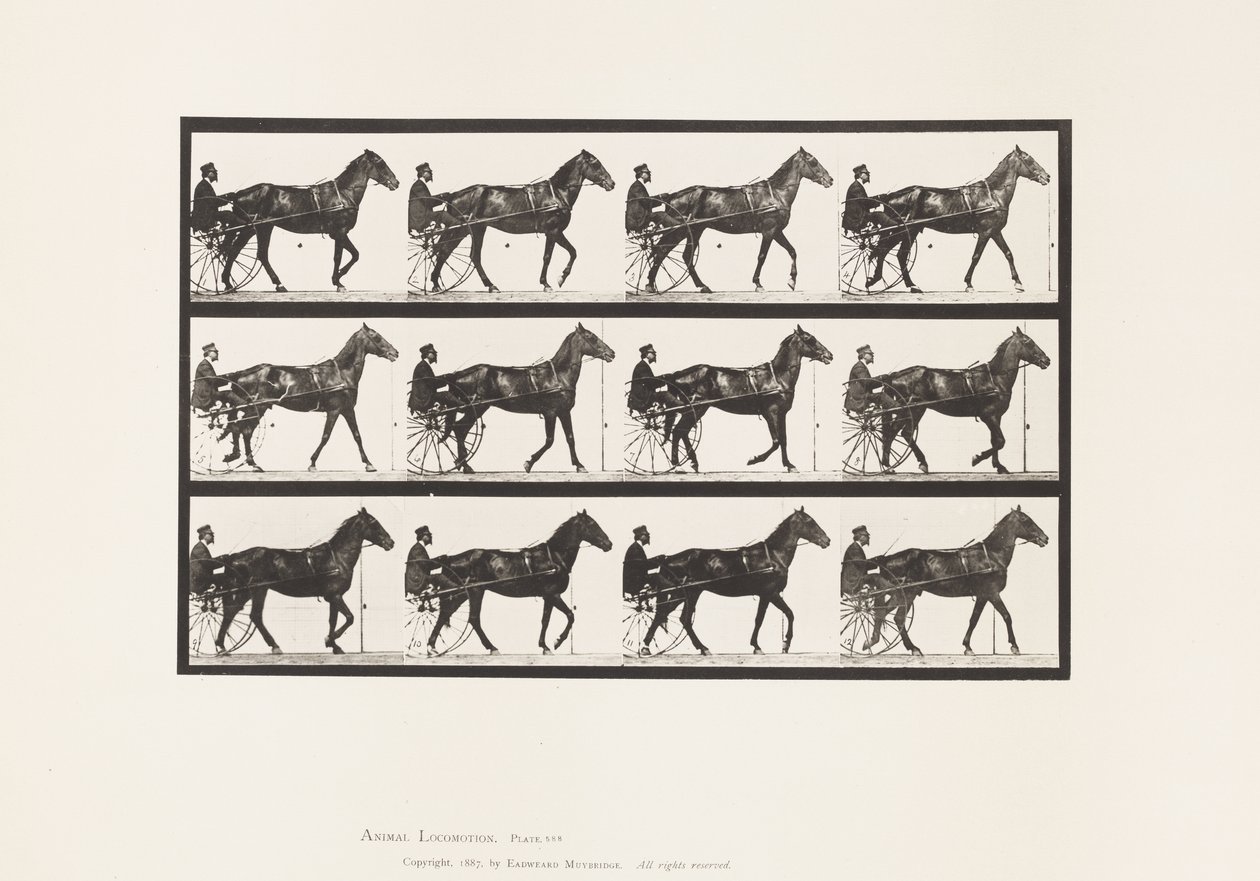 板588.Walking;生气; Bay Horse Reuben，1885 作者 爱德沃德·迈布里奇