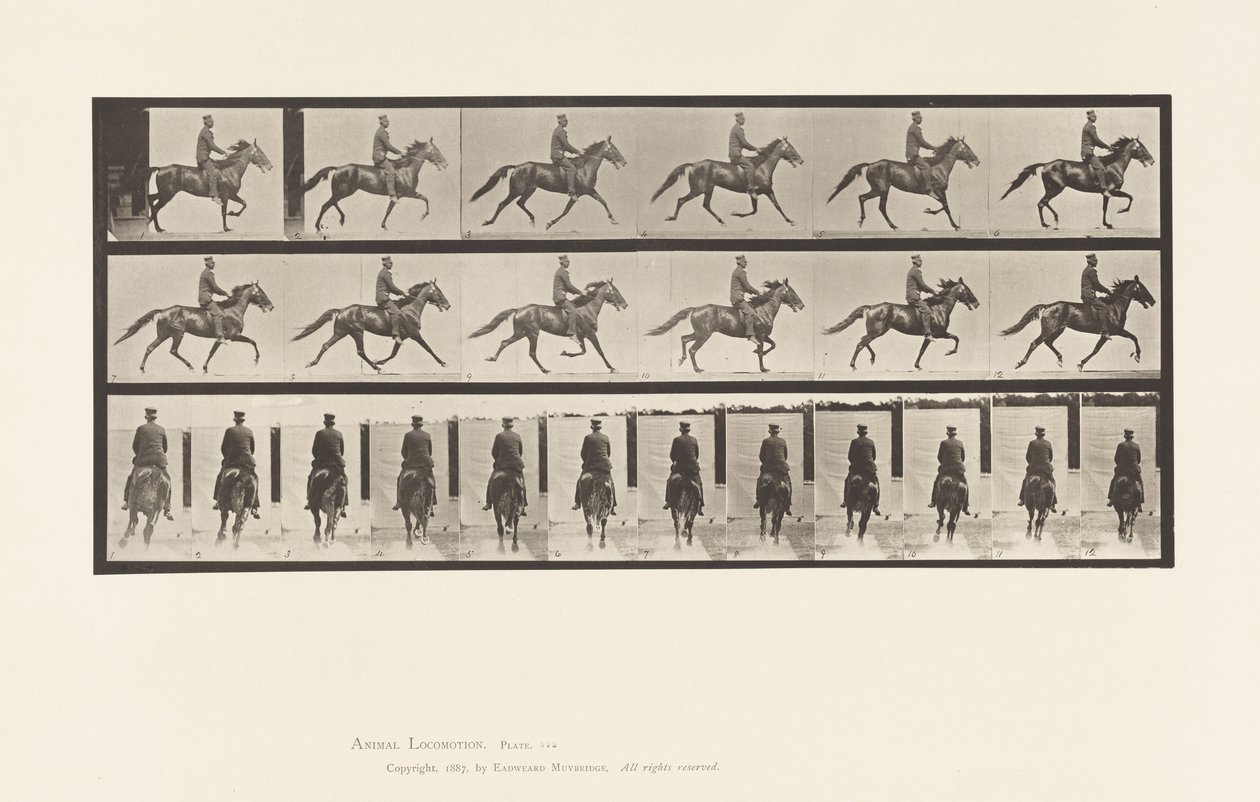 Plate 592. Rocking (Pacing): Saddle; Brown Horse Pronto 作者 爱德沃德·迈布里奇