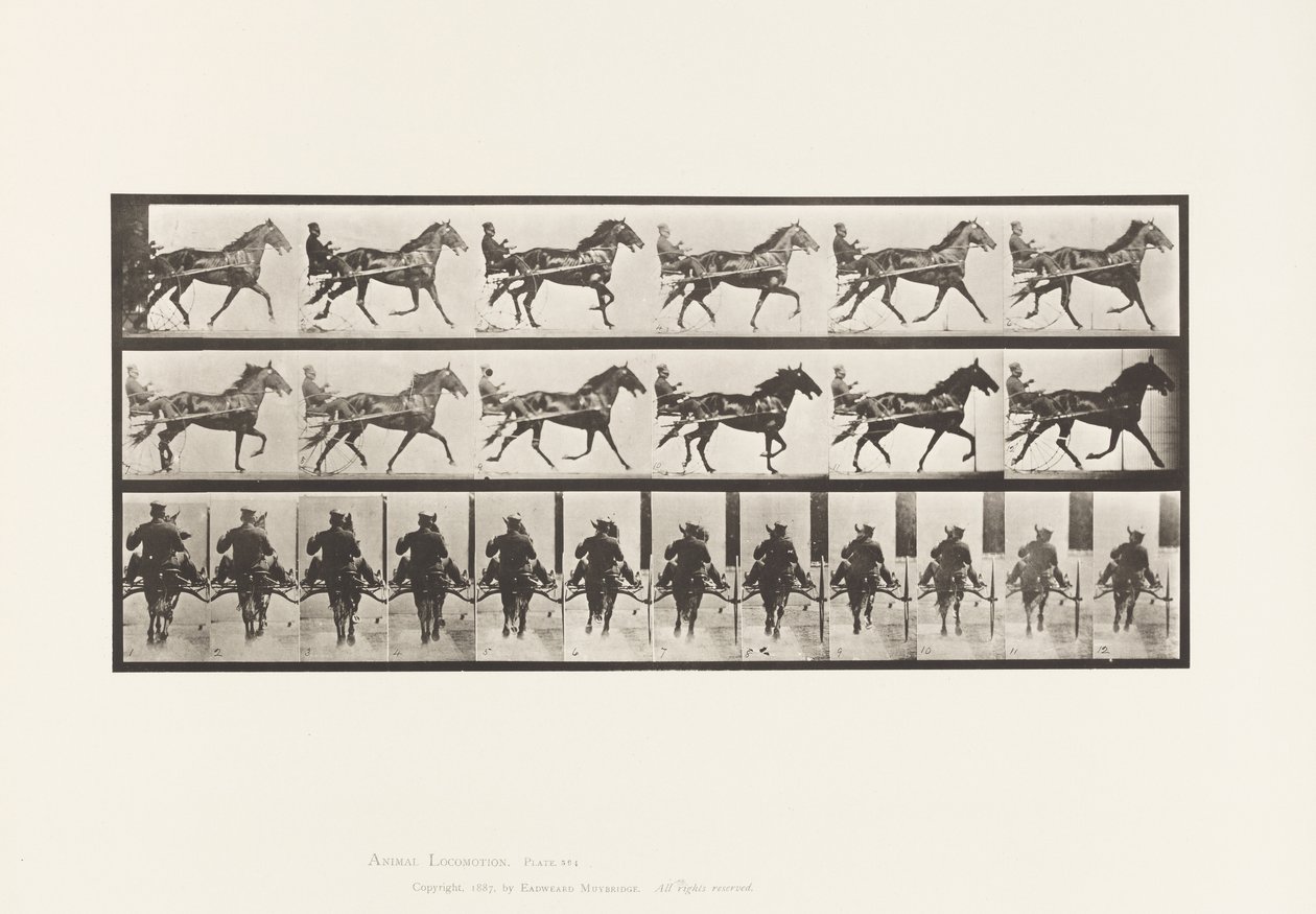 Plate 594. Rocking (Pacing): Sulky; Brown Horse Pronto 作者 爱德沃德·迈布里奇
