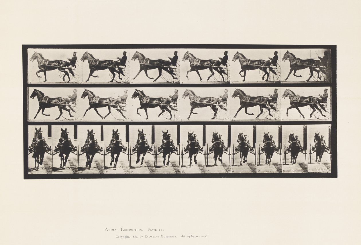 Plate 595. Rocking (Pacing): Sulky; Brown Horse Pronto 作者 爱德沃德·迈布里奇