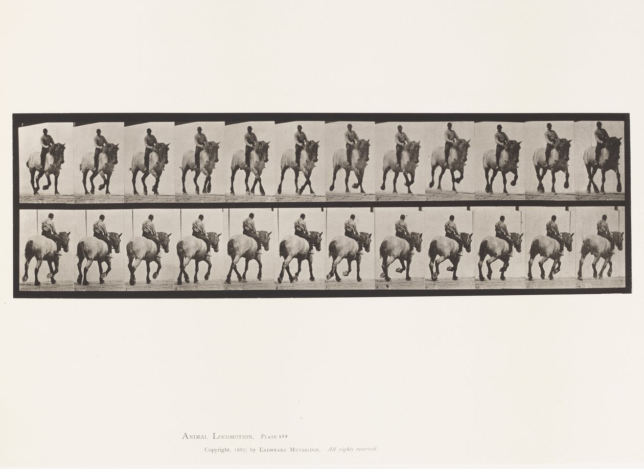 Plate 599. Trotting; Bareback; Dark-Gray Dusel 作者 爱德沃德·迈布里奇