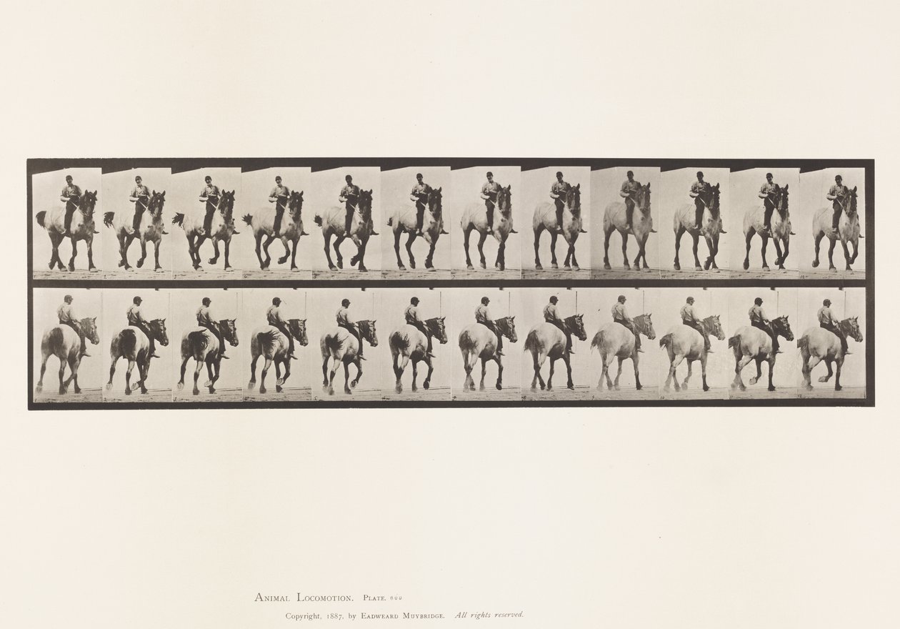 Plate 600. Trotting; Bareback; Dark-Gray Dusel 作者 爱德沃德·迈布里奇