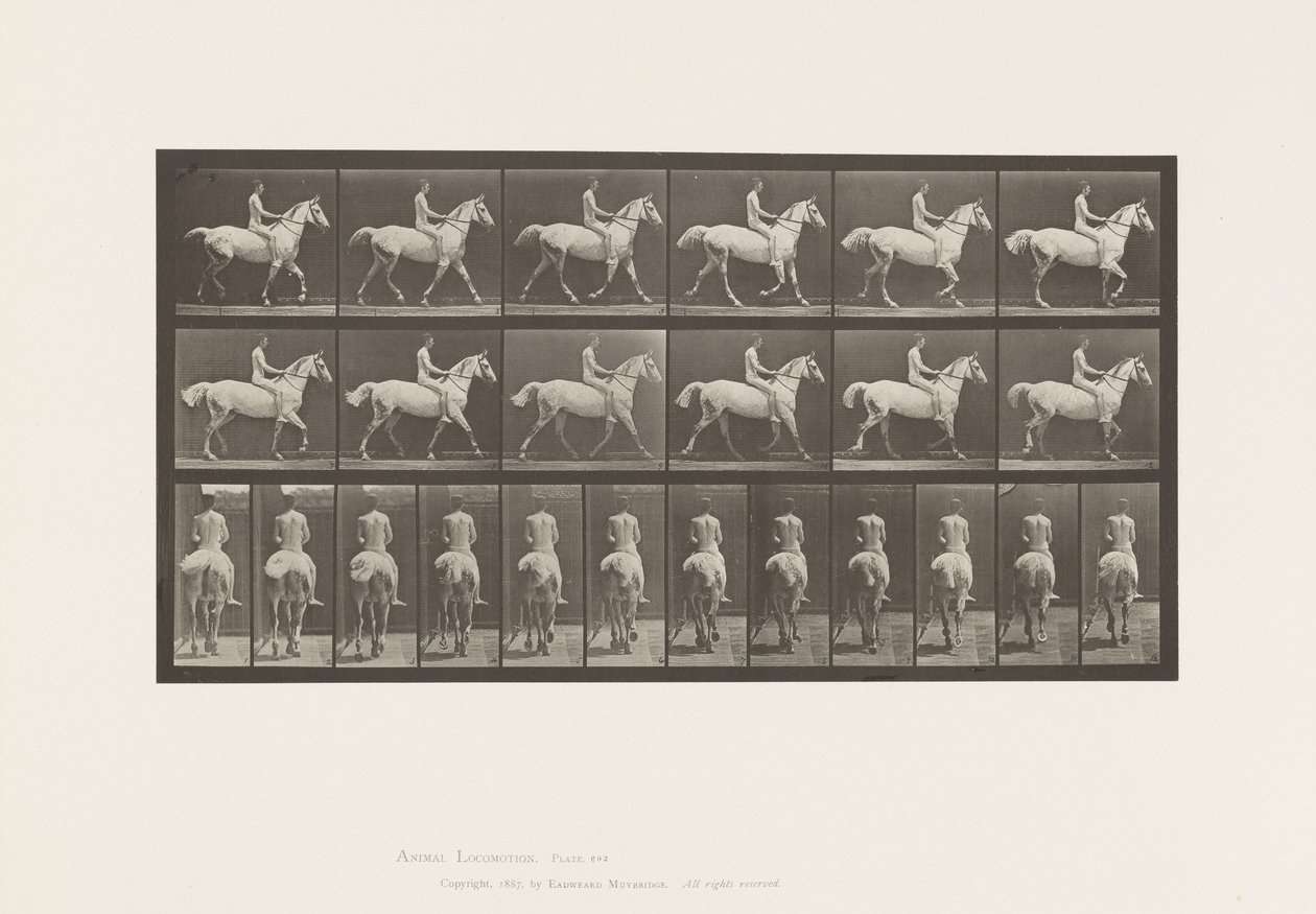 板602.Trotting; Bareback;骑士，43岁，裸体;浅灰色马史密斯，1885年 作者 爱德沃德·迈布里奇