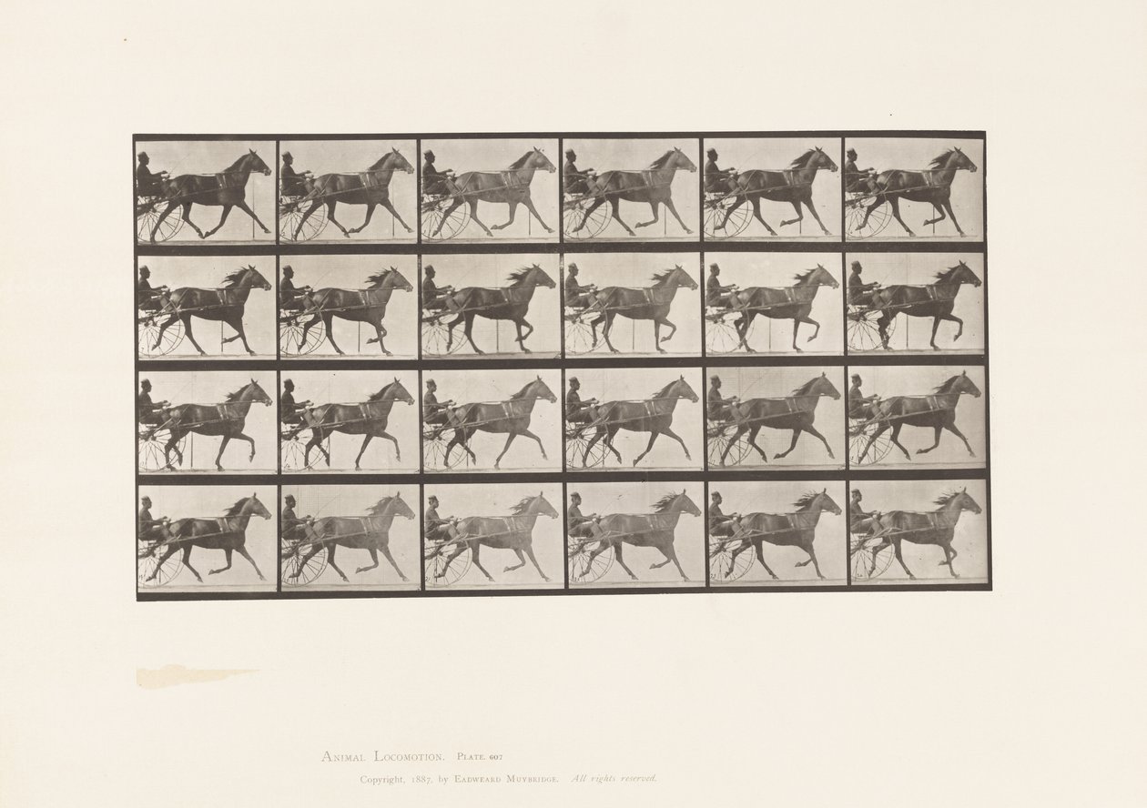 Plate 607. Trotting; Sulky; Bay Mare, Lizzie M. 作者 爱德沃德·迈布里奇