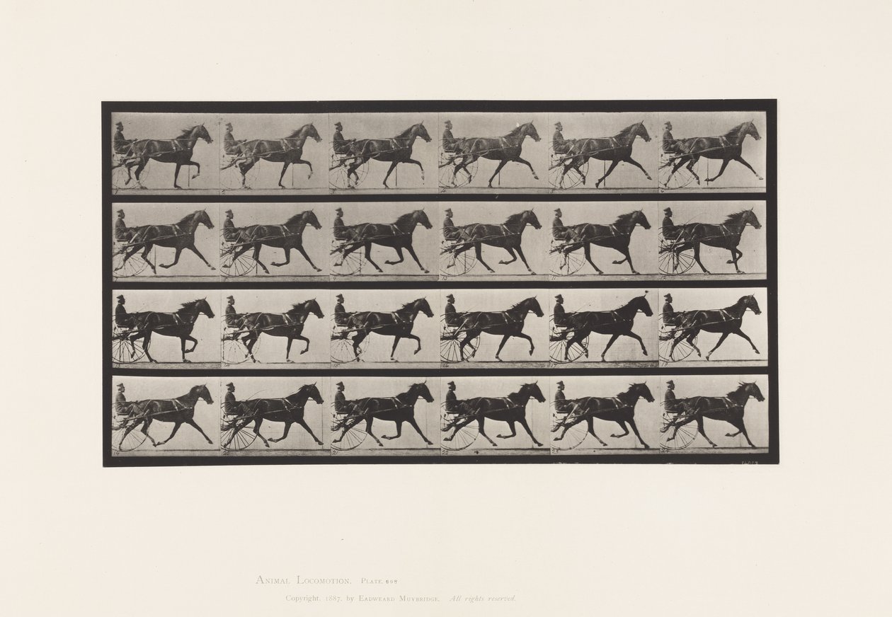 Plate 608. Trotting; Sulky; Sorrel Mare, Flode Holden 作者 爱德沃德·迈布里奇