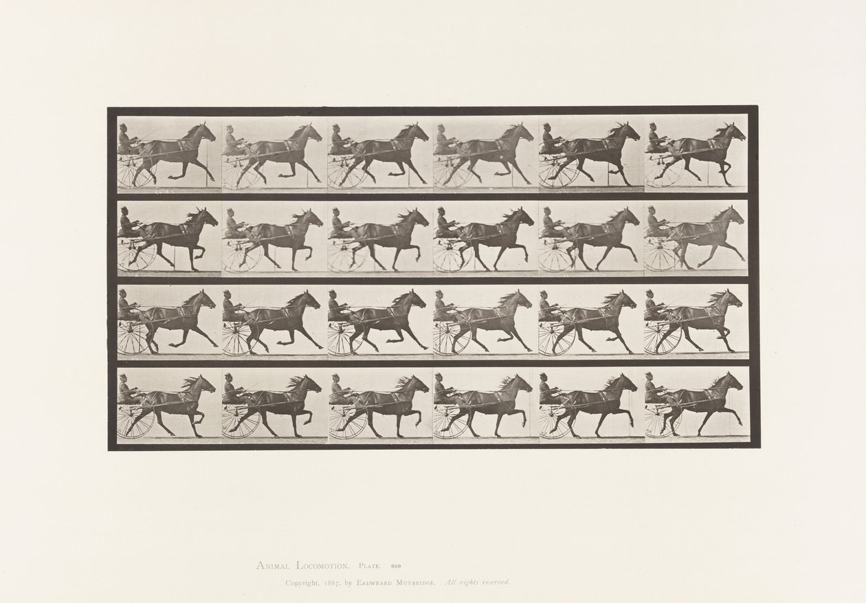 Plate 609. Trotting; Sulky; Bay Mare, Lizzie M. 作者 爱德沃德·迈布里奇