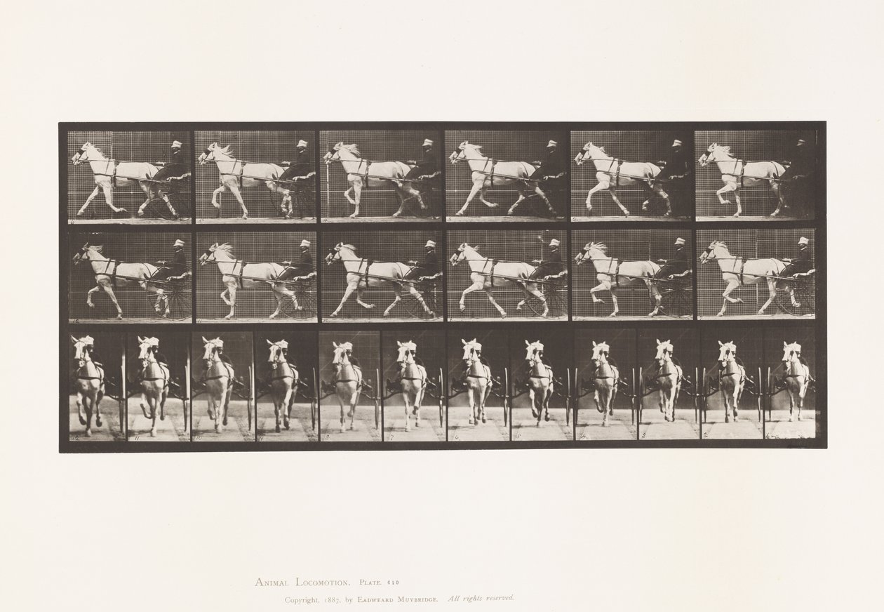 Plate 610. Trotting; Sulky; Gray Mare, Katydid 作者 爱德沃德·迈布里奇