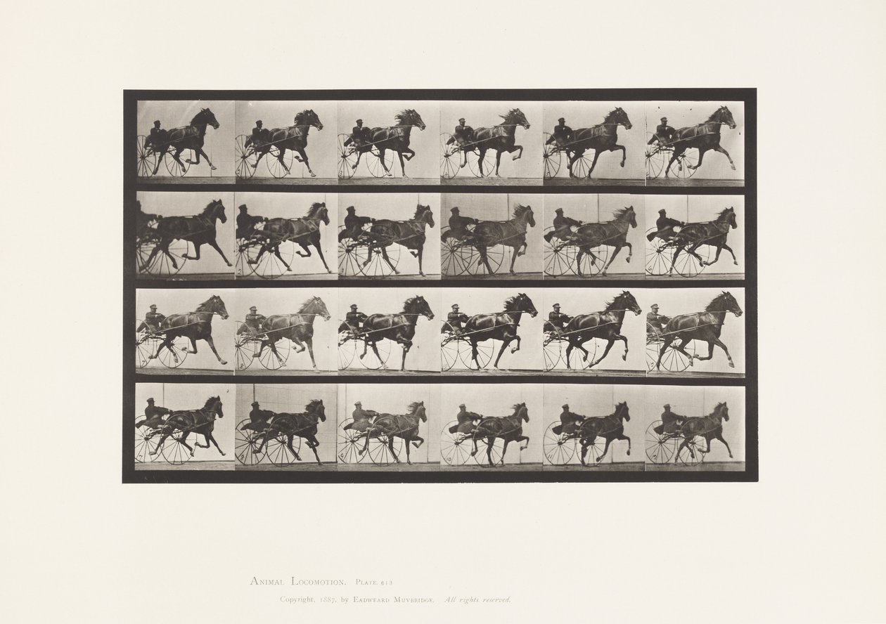Plate 613. Trotting; Sulky; Sorrel Mare Nellie Rose 作者 爱德沃德·迈布里奇