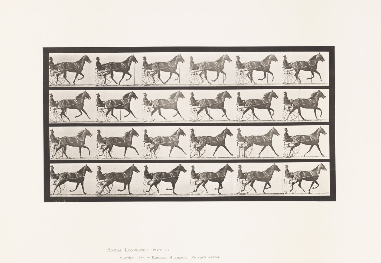 Plate 614. Trotting; Breaking to Gallop; Sorrel Mare Flode Holden 作者 爱德沃德·迈布里奇