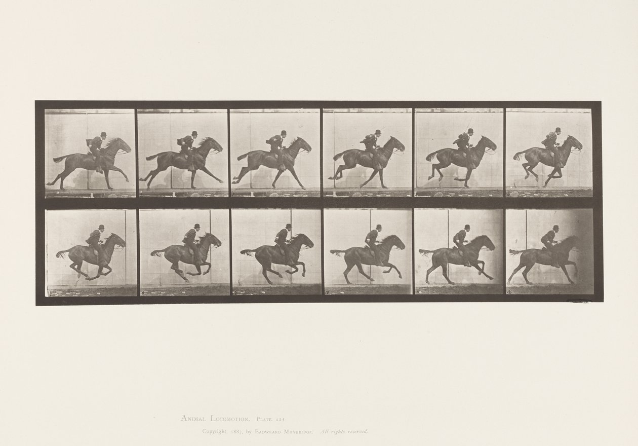 Plate 624. Gallop; Saddle; Bay Horse Daisy 作者 爱德沃德·迈布里奇