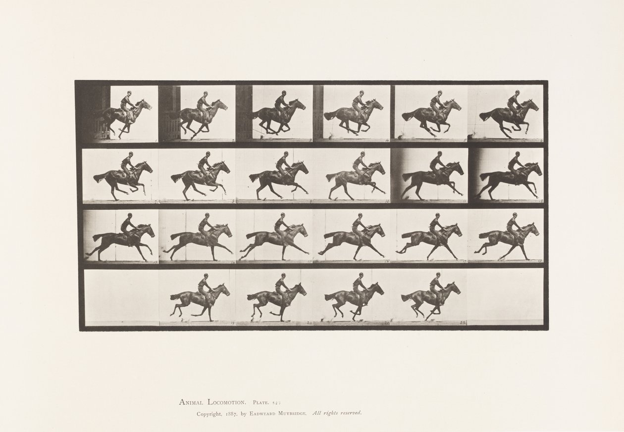 Plate 625. Gallop; Thoroughbred Bay Horse Bouquet 作者 爱德沃德·迈布里奇