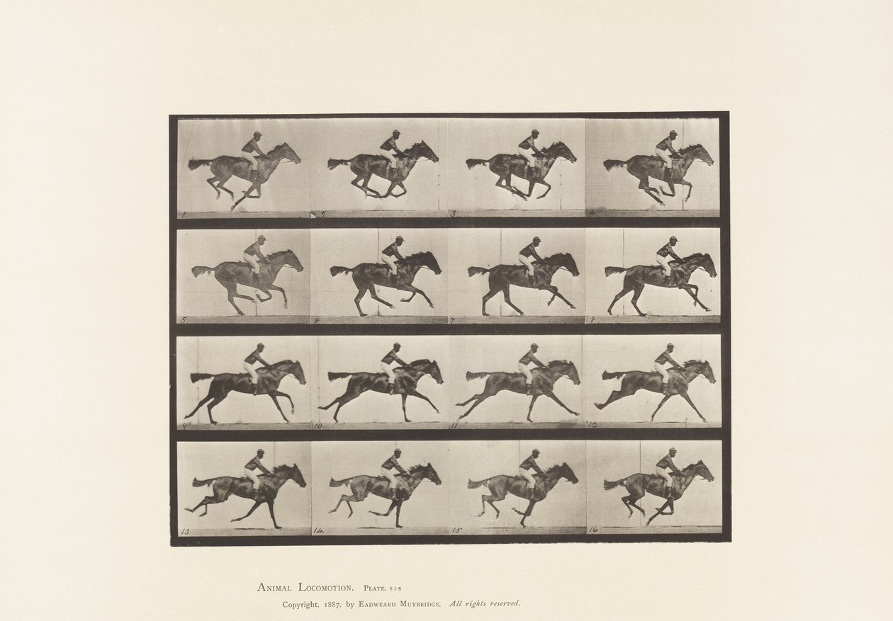 Plate 626. Gallop; Thoroughbred Bay Mare Annie G. 作者 爱德沃德·迈布里奇