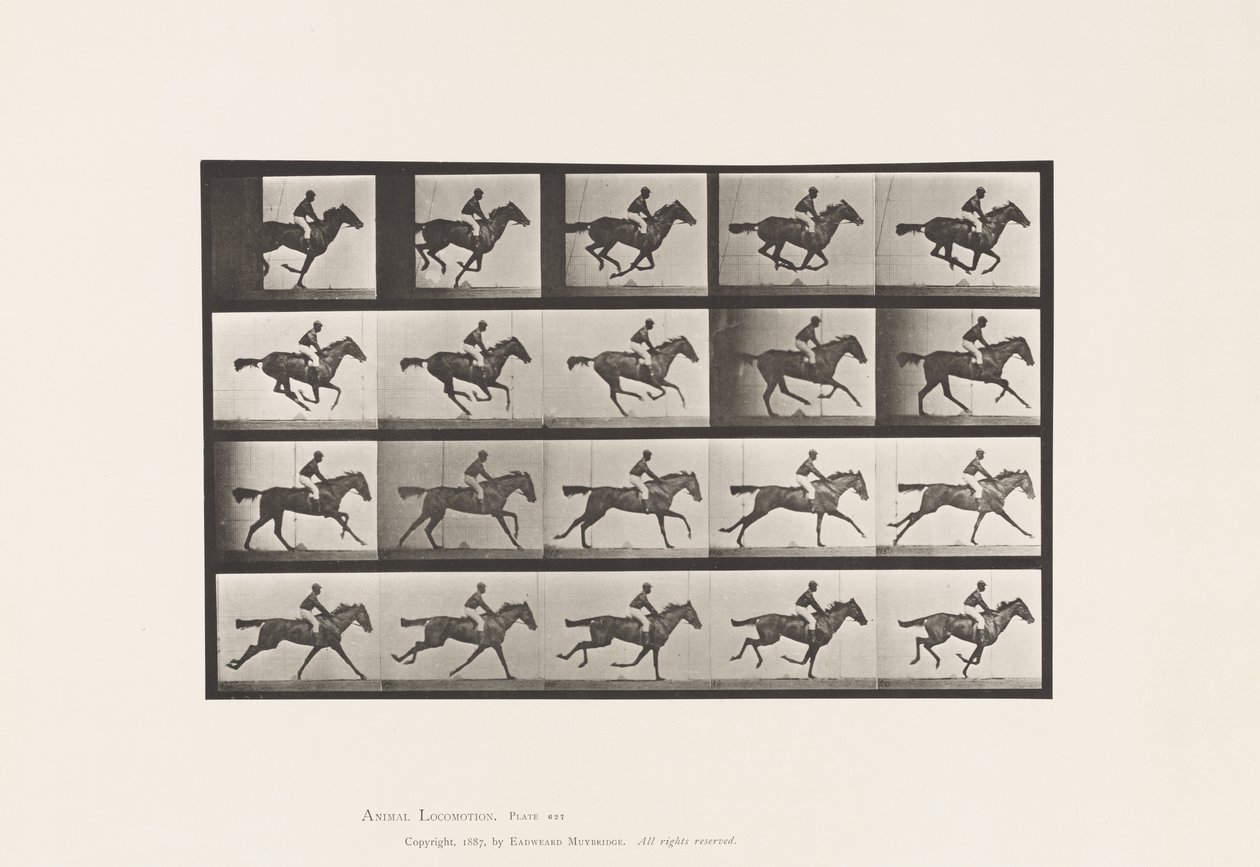Plate 627. Gallop; Thoroughbred Bay Mare Annie G. 作者 爱德沃德·迈布里奇