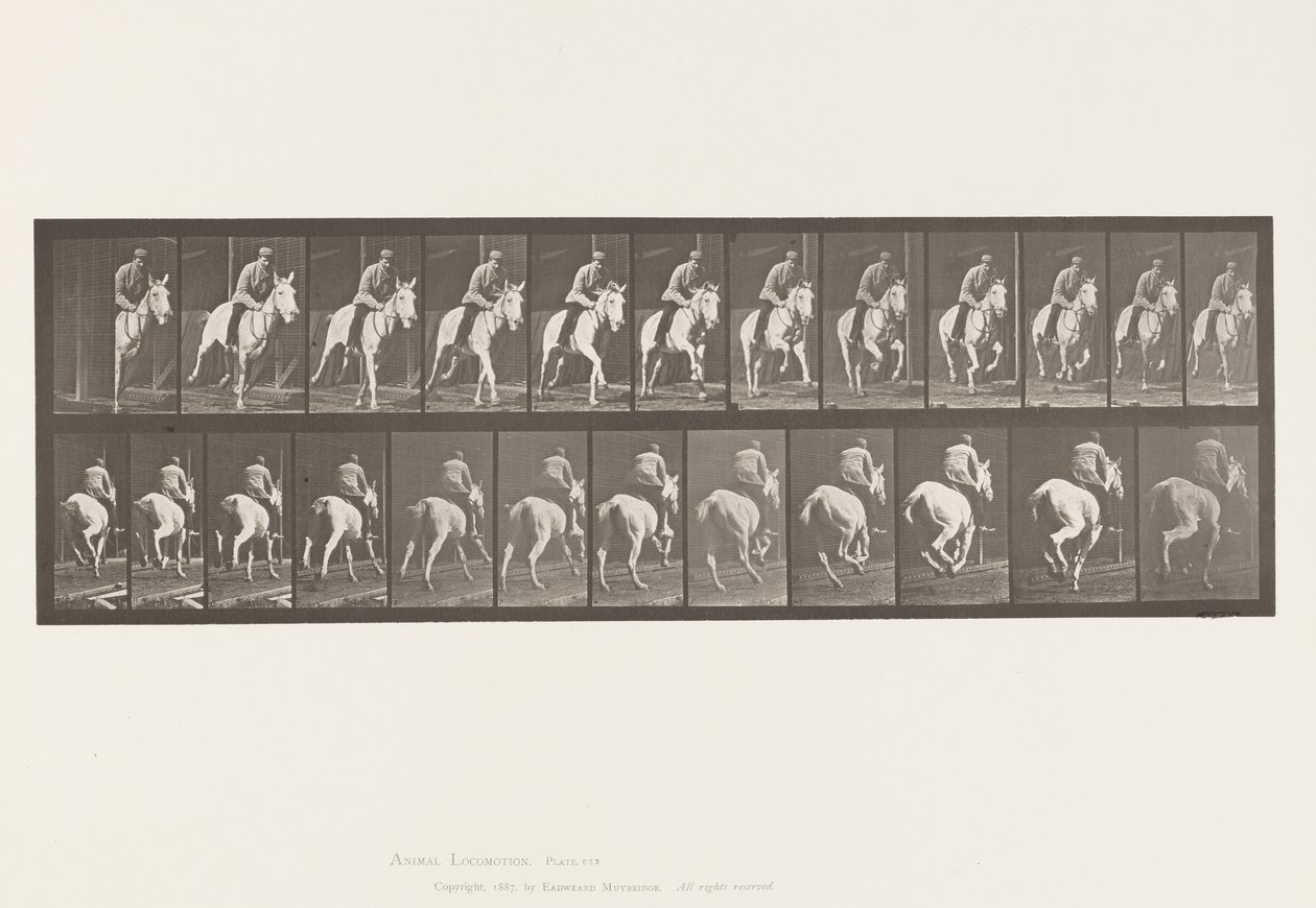 Plate 635. Gallop; Saddle; Gray Mare, Pandora 作者 爱德沃德·迈布里奇