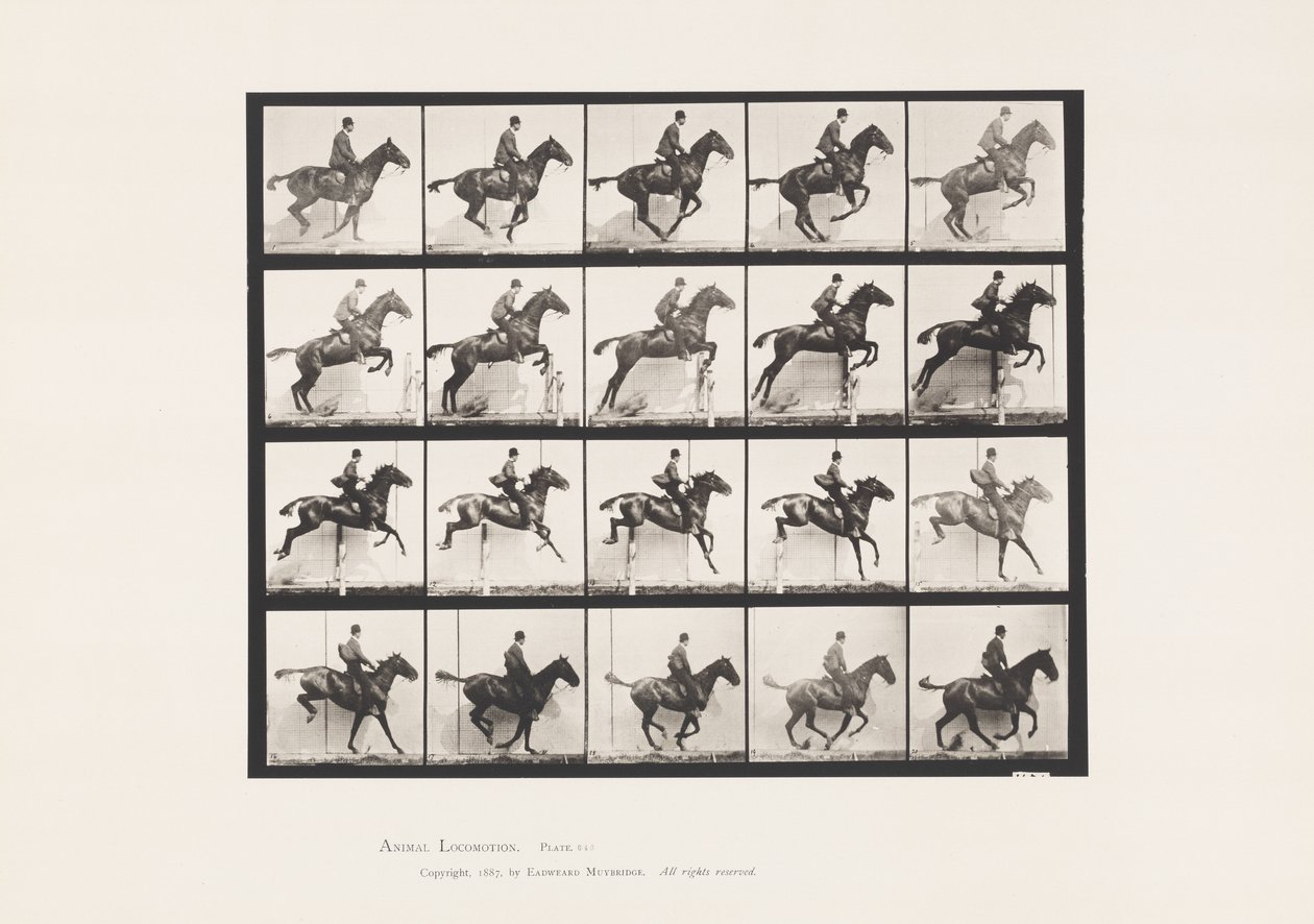 Plate 640. Jumping a Hurdle; Saddle; Bay Horse Daisy 作者 爱德沃德·迈布里奇