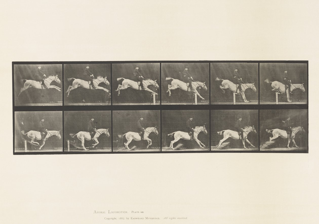 Plate 641. Jumping a Hurdle; Saddle; Knocking Over Hurdle and 作者 爱德沃德·迈布里奇