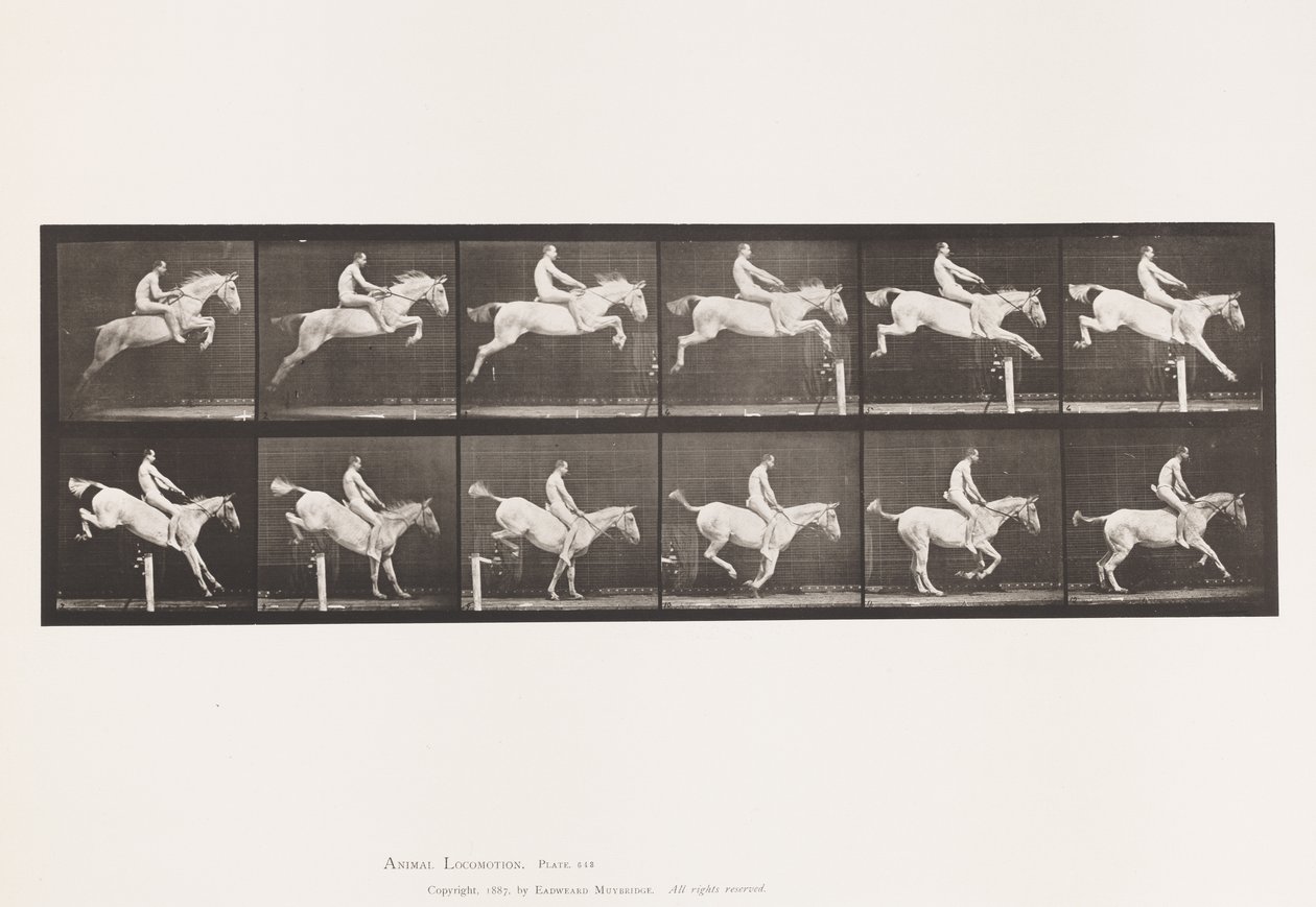 Plate 643.Jumping a Hurdle; Bareback; Clearing and Landing; 作者 爱德沃德·迈布里奇