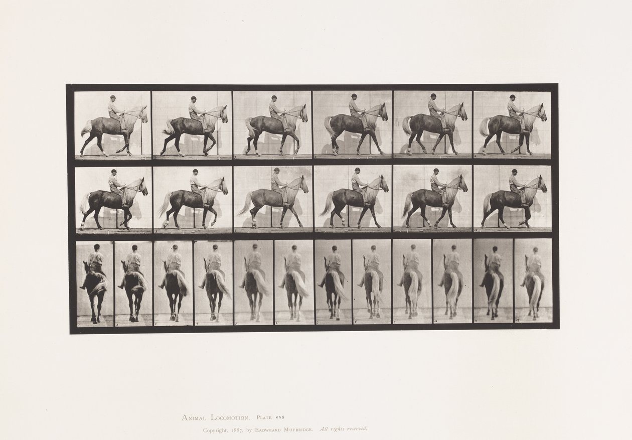Plate 653. Walking; Saddle; Lame, Right Front Foot;Horse-Buckskin 作者 爱德沃德·迈布里奇
