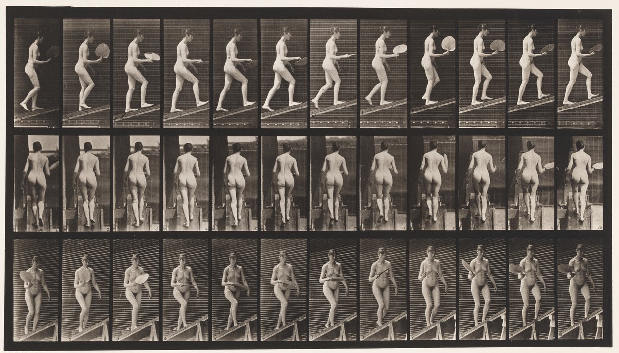 盘78.升序倾斜，调情扇，1872-1885 作者 爱德沃德·迈布里奇