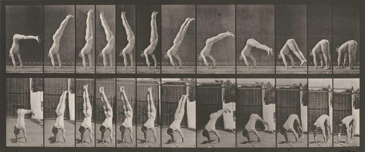 图版编号 371。Acrobat，垂直 "压上"，1887 年（照片） 作者 爱德沃德·迈布里奇