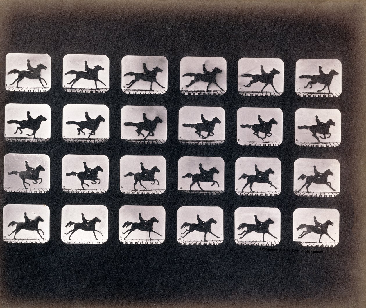 Eadweard J. Muybridge 的跑步（疾驰） 作者 爱德沃德·迈布里奇