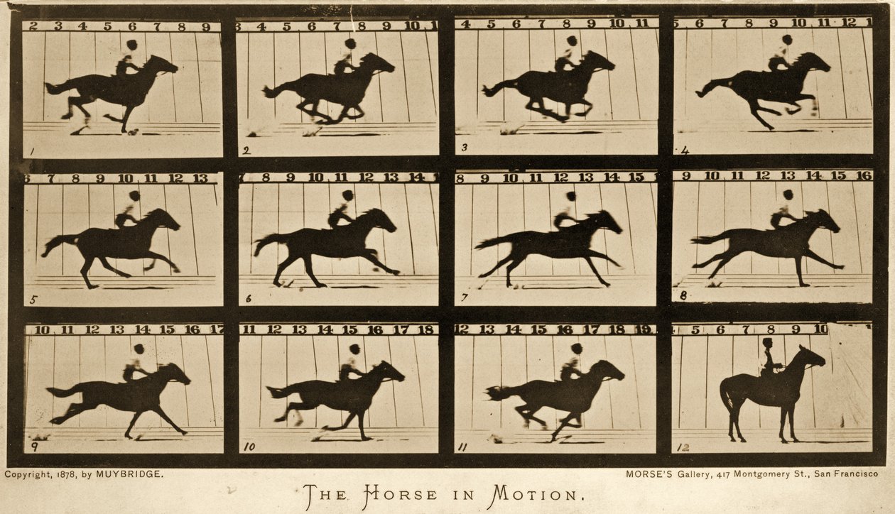 The Horse in motion，&39;Animal Locomotion&39;系列，c.1878 作者 爱德沃德·迈布里奇