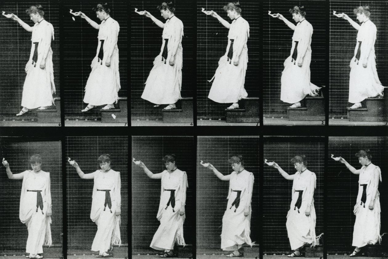 女人。 1887年下降的楼梯，Eadweard Muybridge的“人体运动”中的插图，1904年出版 作者 爱德沃德·迈布里奇