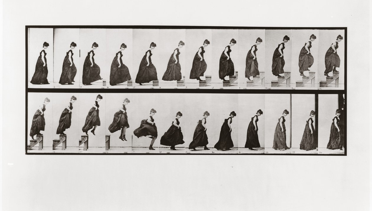女人爬楼梯和跳下来，板块173从动物运动，1887年 作者 爱德沃德·迈布里奇