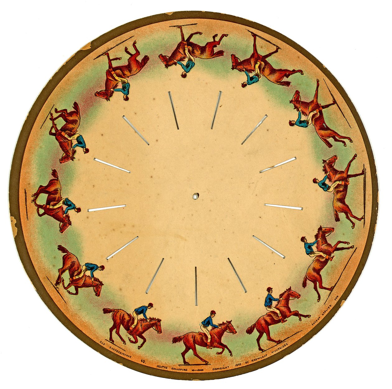 zoopraxiscope盘显示马驰骋，1893年 作者 爱德沃德·迈布里奇