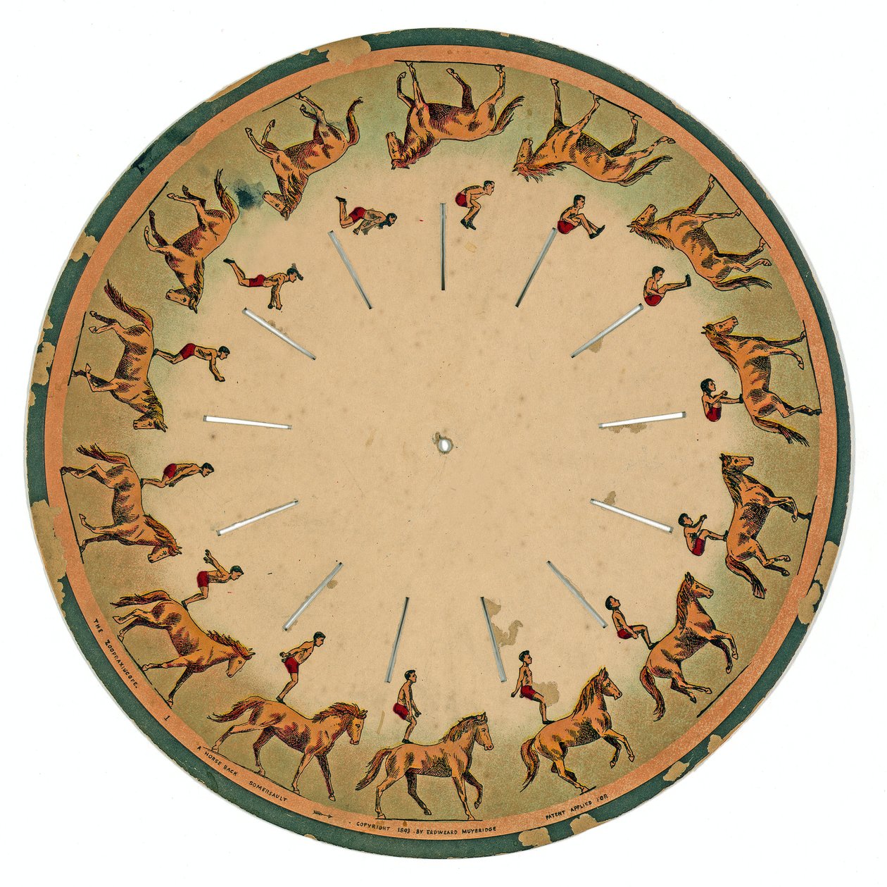 zoopraxiscope光盘显示杂技演员表演马背翻筋斗，1893年 作者 爱德沃德·迈布里奇