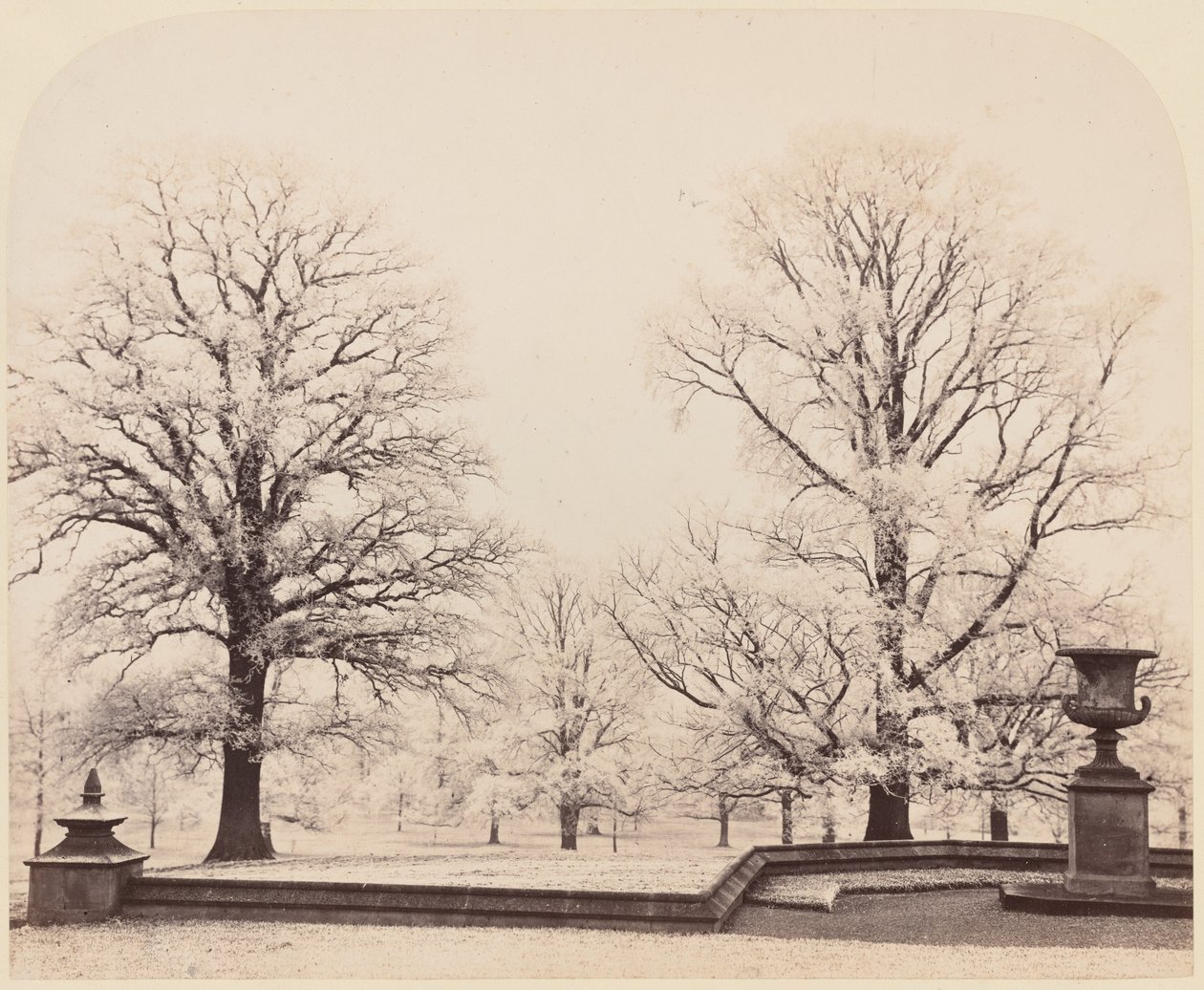 冰霜，公园风景，1862 年（照片） 作者 凯斯尼斯伯爵