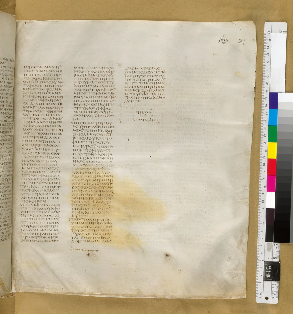使徒行传第 24 章出自《西奈抄本》Add MS 43725，f.317r，约 325-375 年（羊皮纸上的墨迹） 作者 东地中海学校