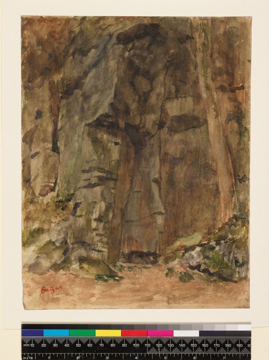 1917年之前，在巴尼奥勒·德·欧恩（Bagnoles-De-L“ Orne）的岩石 作者 埃德加·德加