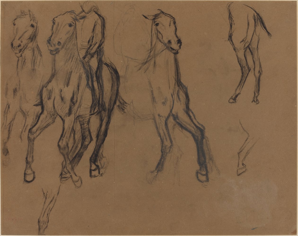 研究马，c.1886（棕色纸上的木炭和石墨） 作者 埃德加·德加