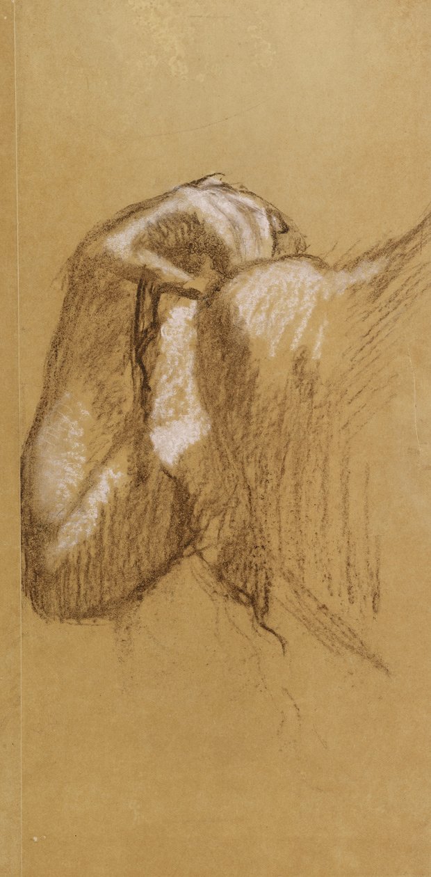 研究手臂，c.1895-90（棕色描图纸上的棕色和白色粉彩） 作者 埃德加·德加