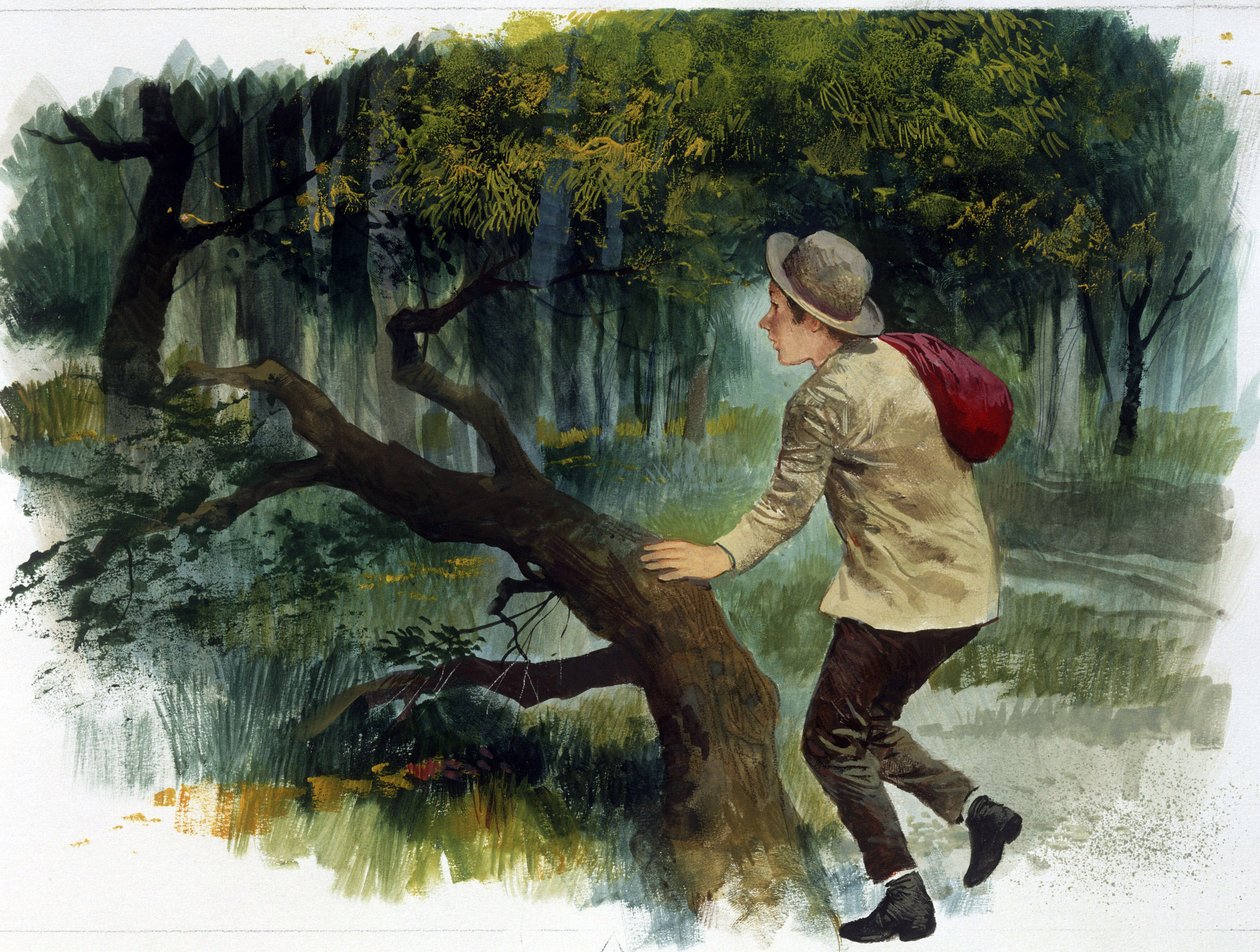 儿童文学：从亚平宁山脉到安第斯山脉。独自在森林中的小男孩（绘画） 作者 埃德蒙多·德·阿米西斯