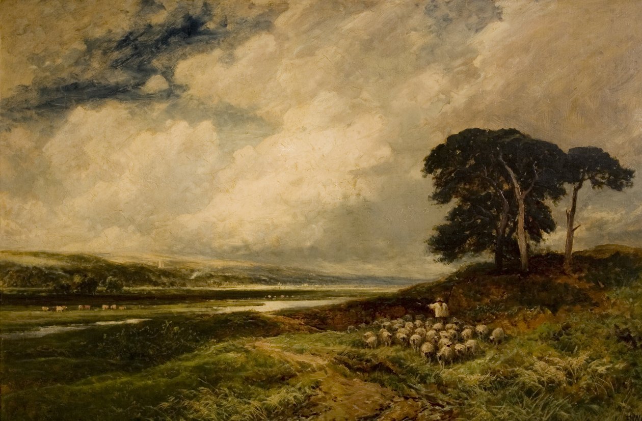 与绵羊的风景，1899年 作者 埃德蒙·莫里森·温佩里斯