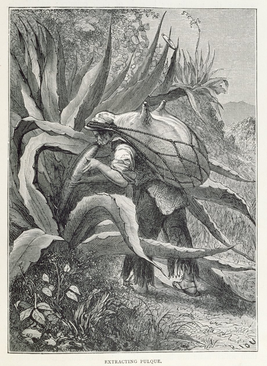 来自“新世界的古城”的Pulque，由Manini，酒吧雕刻的Claude-Joseph-Desire Charney提取。 1887年 作者 爱德华·里奥（Edouard Riou）
