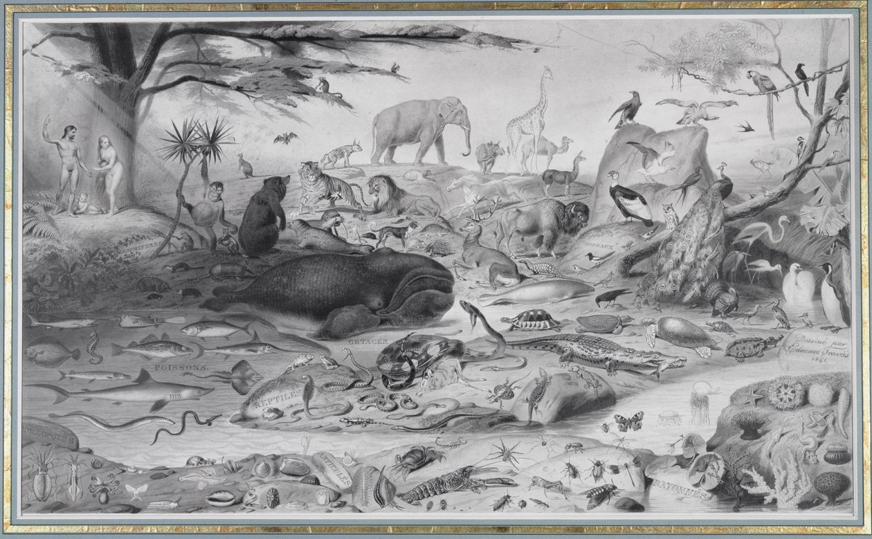 亚当和夏娃以及动物，1841年 作者 爱德华·特拉维斯