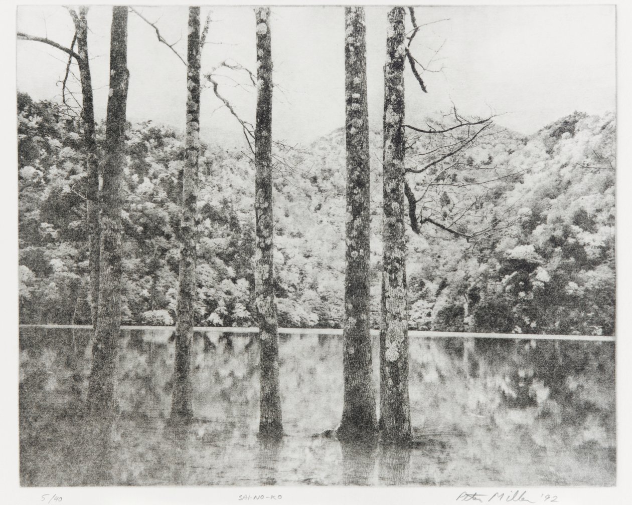 西贡湖，1992 作者 爱德华·克雷米