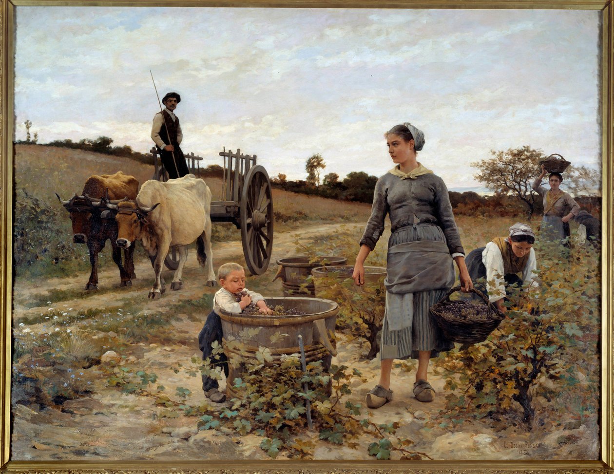 朗格多克的葡萄藤角 Edouard Debat Ponsan (1847-1913) 绘画，1886 年 2,02x2,6 m 南特，Musee des Beaux Arts 作者 爱德华·德巴特·庞桑
