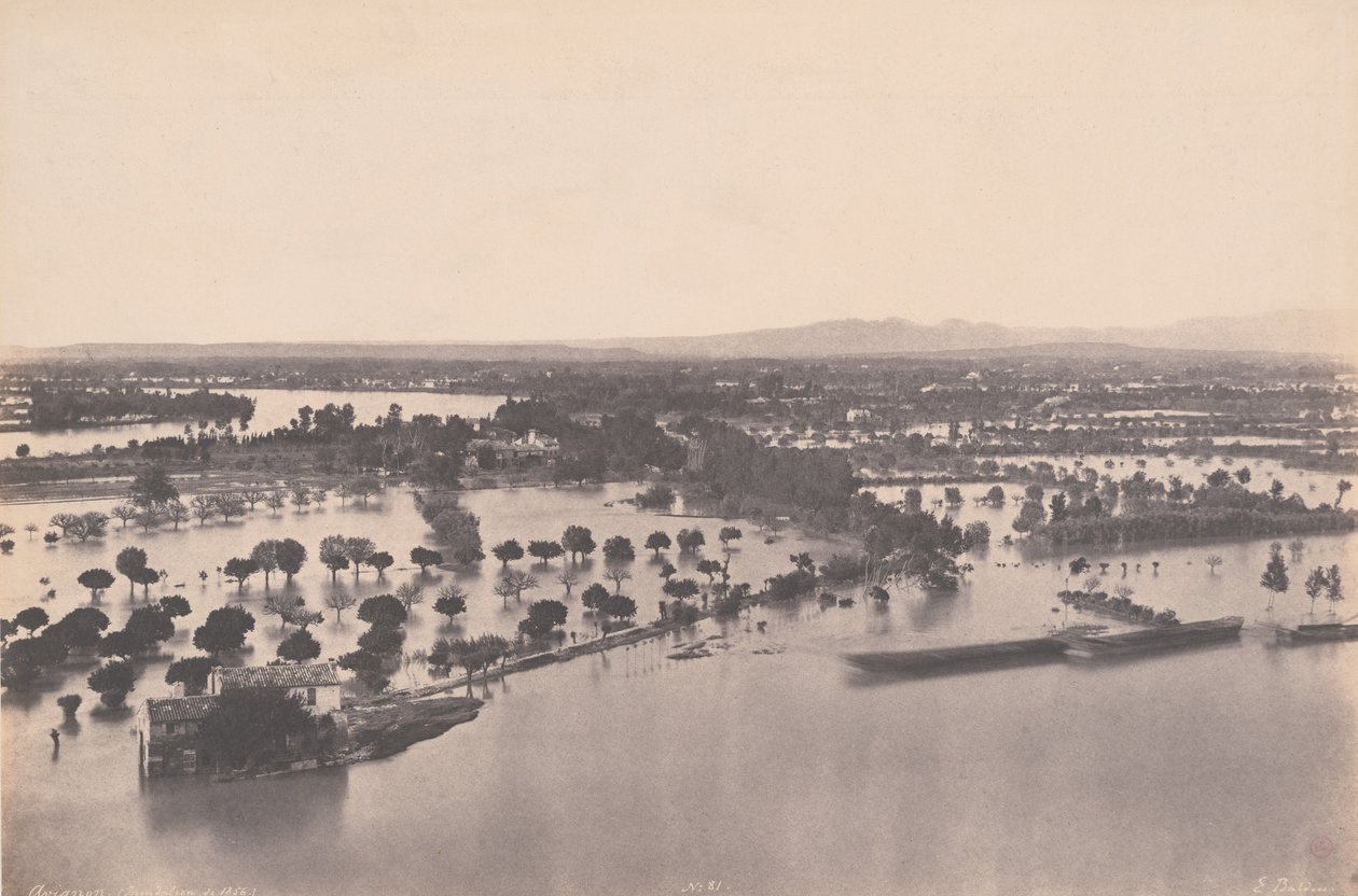 阿维尼翁（1856 年洪水）（Avignon [Inondation de 1856]) 作者 爱德华·丹尼斯·巴尔杜斯