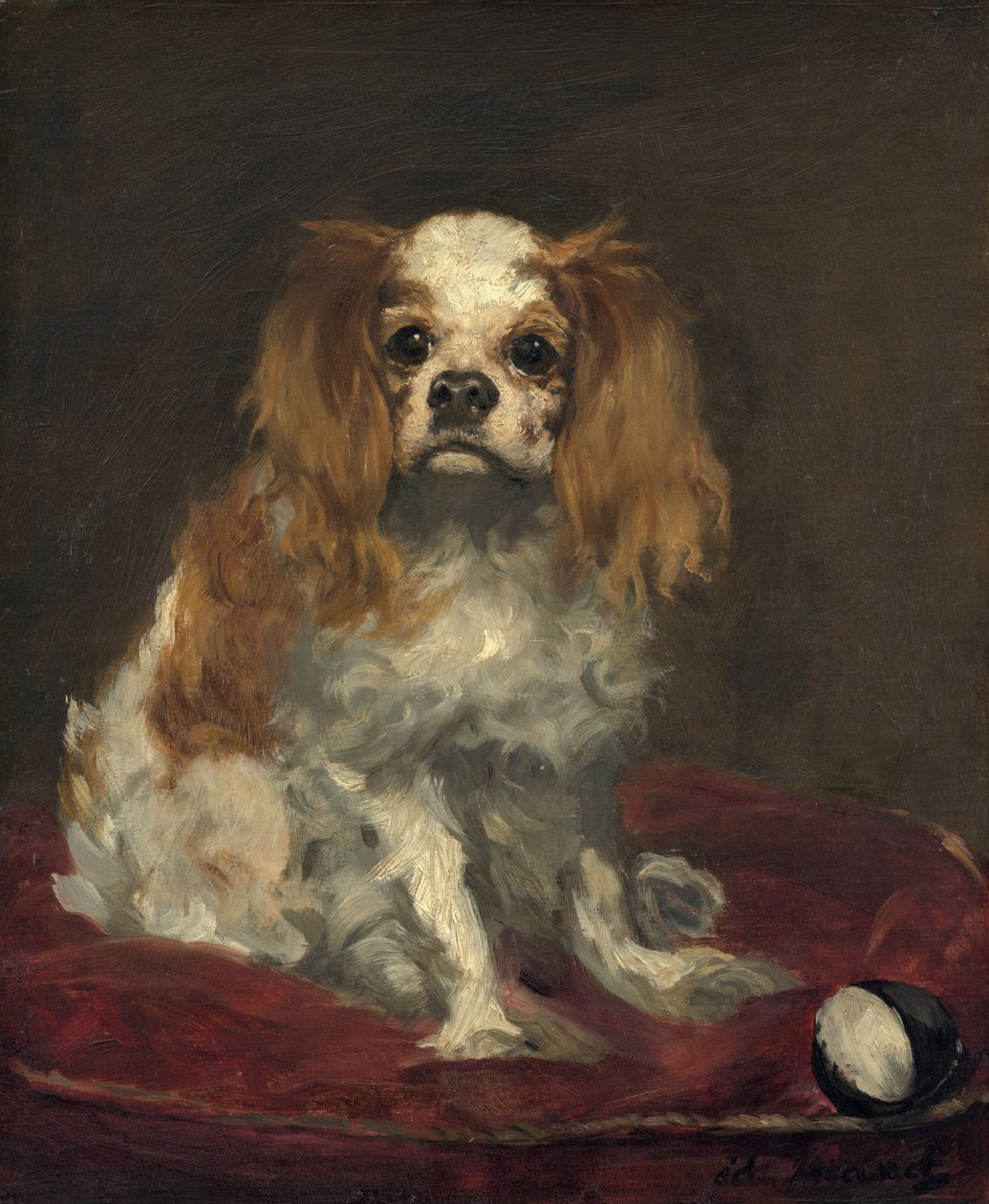 一只查尔斯国王猎犬，约1866年。 作者 爱德华·马奈