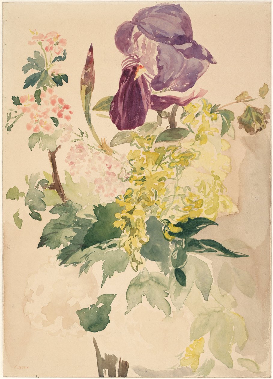 鸢尾花，金莲花和天竺葵的花片，1880年 作者 爱德华·马奈