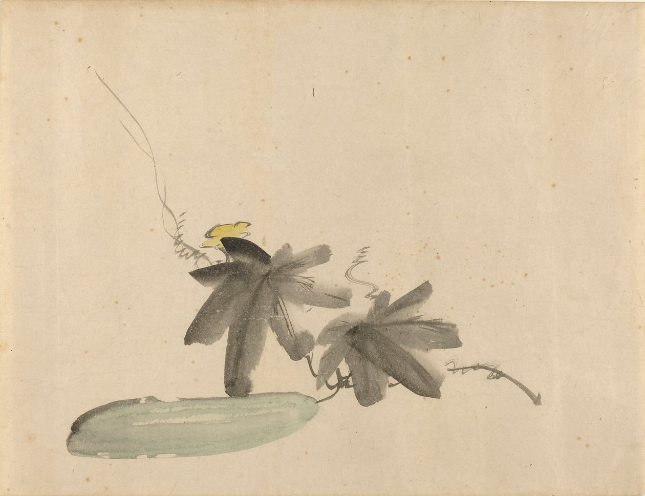 马奈 - 黄瓜与叶子，约 1880 年 作者 爱德华·马奈