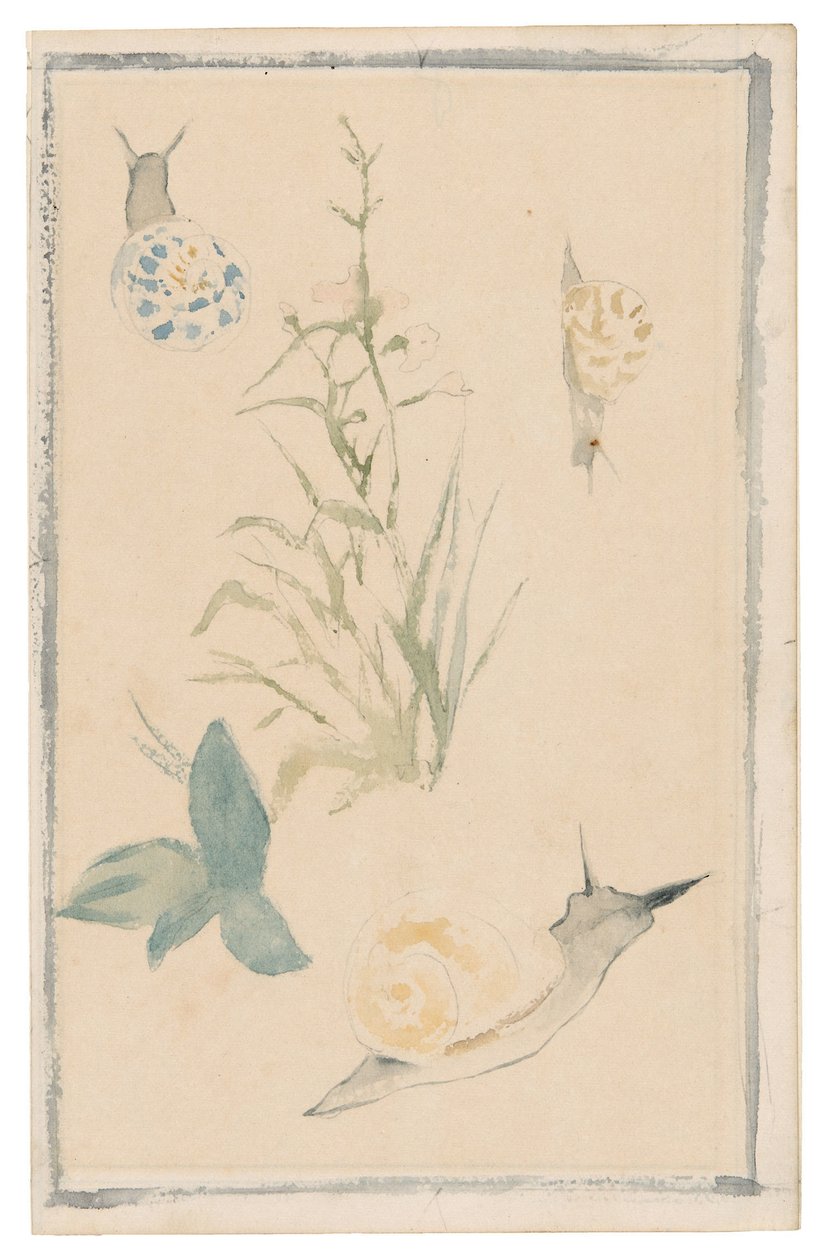 马奈 - 《蜗牛素描》、《开花植物》，1864-68 年 作者 爱德华·马奈