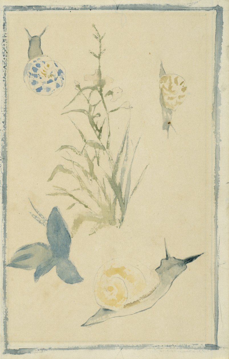 蜗牛素描，开花植物，c.1880 作者 爱德华·马奈