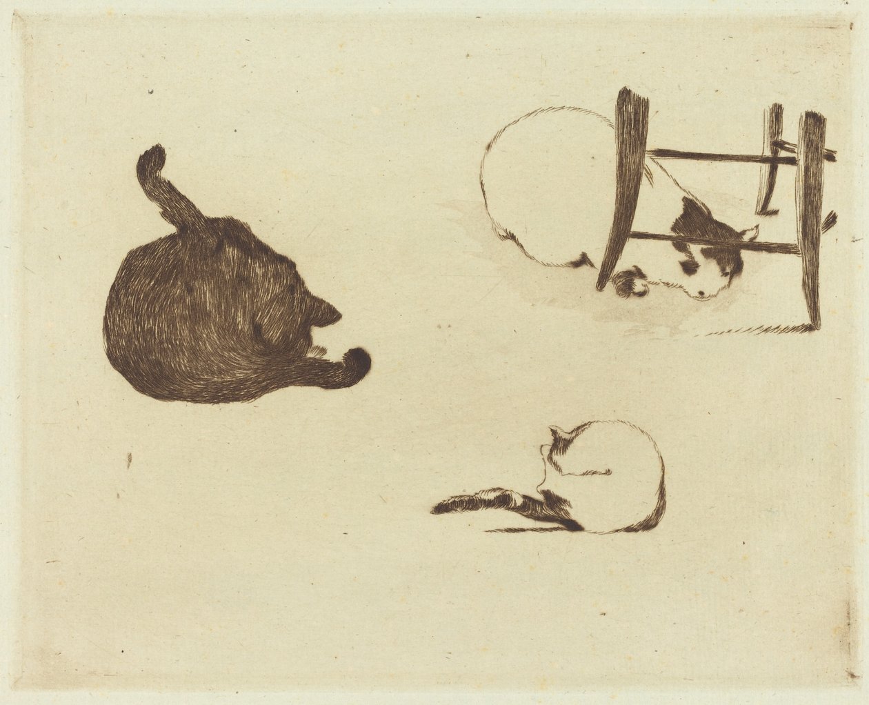 猫》 Les chats, 1869年。 作者 爱德华·马奈